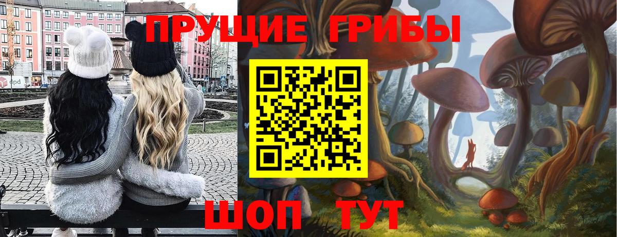 Псилоцибиновые грибы Magic Shrooms  Галлюциногенные грибы Psilocybe  Вход с VPN  цены наркотик  Слободской 