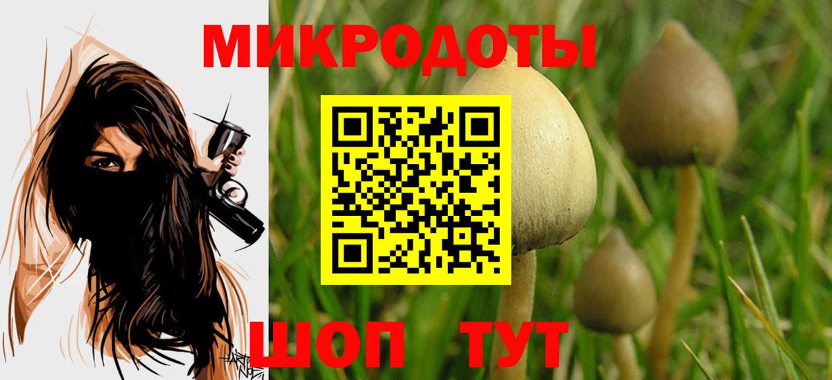 Псилоцибиновые грибы Cubensis Слободской